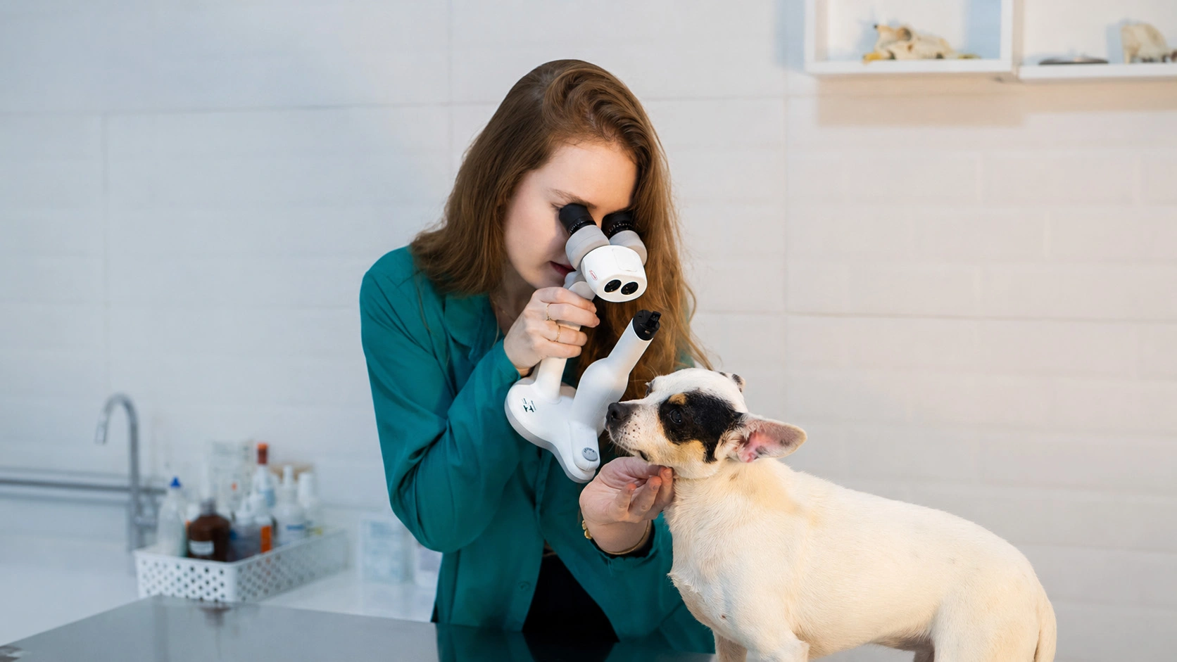 Hero Home - Oftalmologia Veterinária em Florianópolis - Isabella Guzatti