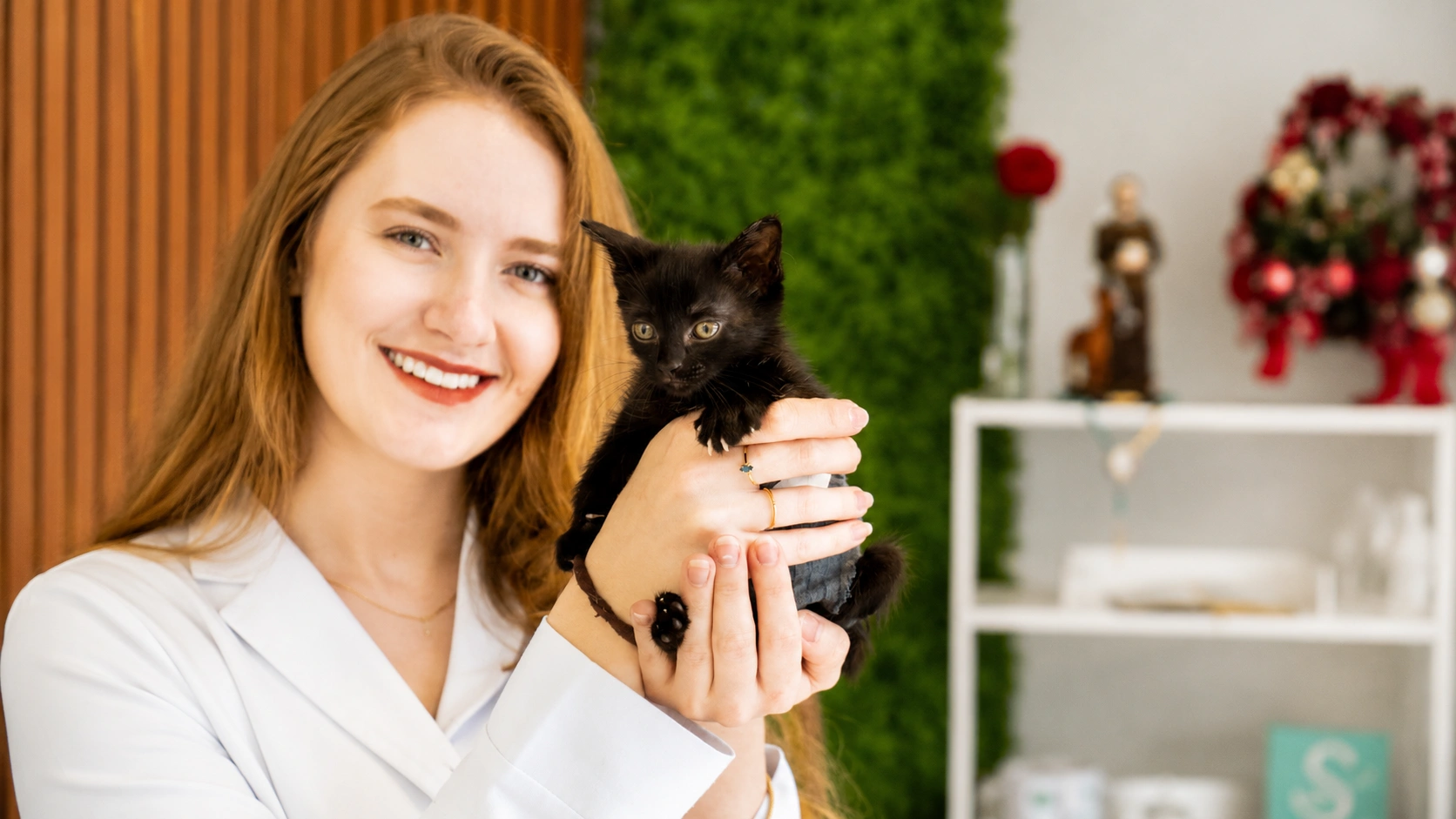 Post - Olho Vermelho em Gato ou Cachorro - Oftalmologia Veterinária em Florianópolis - Isabella Guzatti